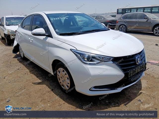 2024 CHAN ALSVIN – Lot 53337026 auction photo
