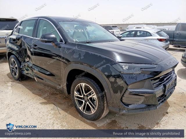 2026 SOUE S06 – Lot 53358216 auction photo