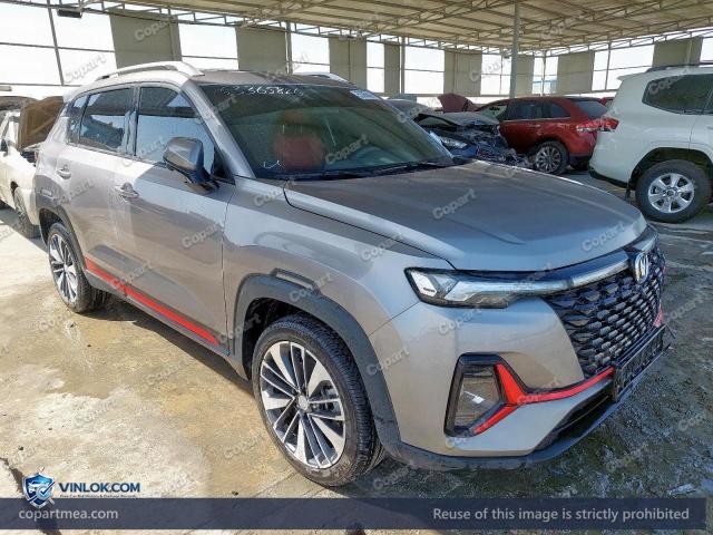 2025 CHAN CS35 – Lot 53365826 auction photo