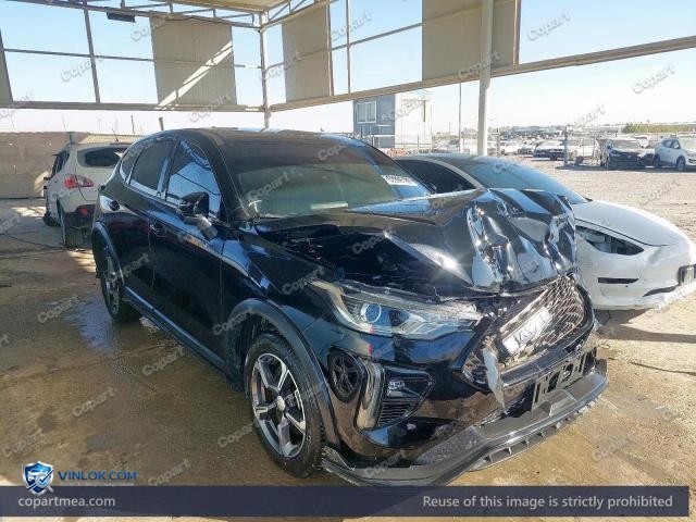 2025 HAVA JOLION – Lot 53366186 auction photo