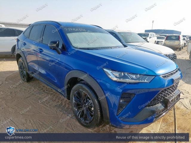 2023 HAVA H6 – Lot 53482546 auction photo