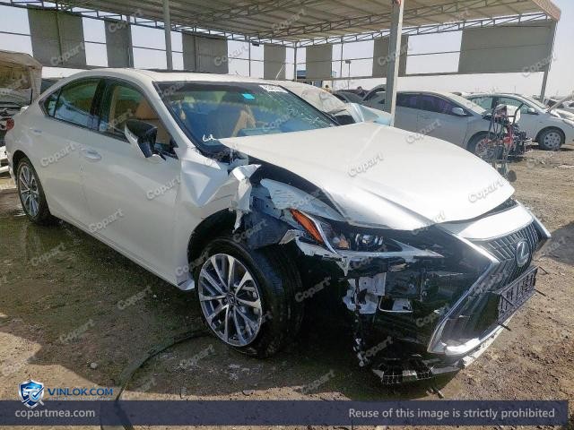 2025 LEXUS ES 300H – Lot 53487066 auction photo