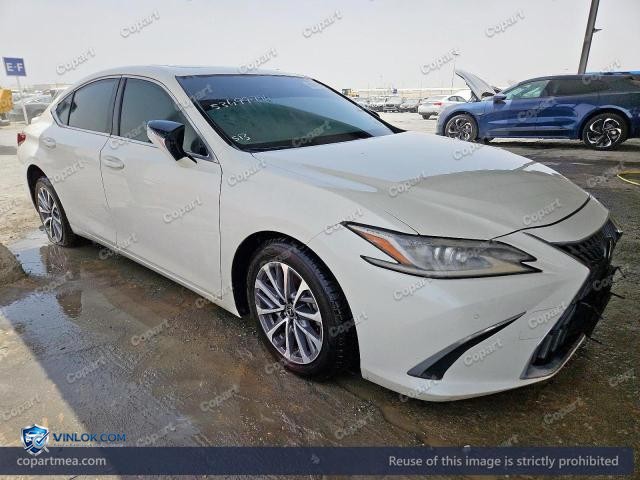 2024 LEXUS ES 300H – Lot 53499796 auction photo