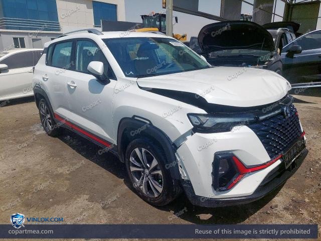 2024 CHAN CS35 – Lot 53503976 auction photo