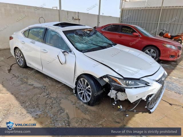 2024 LEXUS ES – Lot 53688086 auction photo