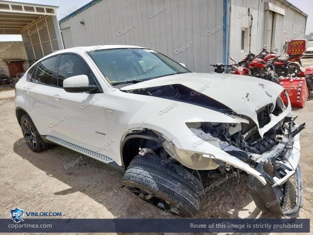 2010 BMW X6 – Lot 53690736 auction photo