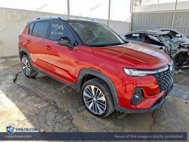 2025 CHAN CS35 – Lot 53793796 auction photo