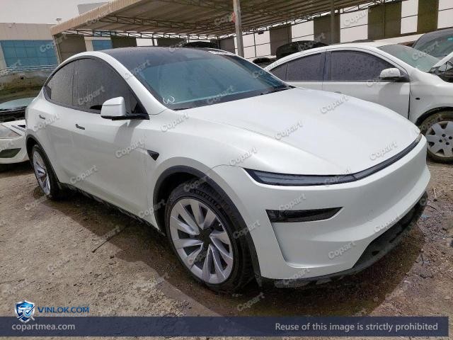 2025 TESLA MODEL Y – Lot 53853476 auction photo