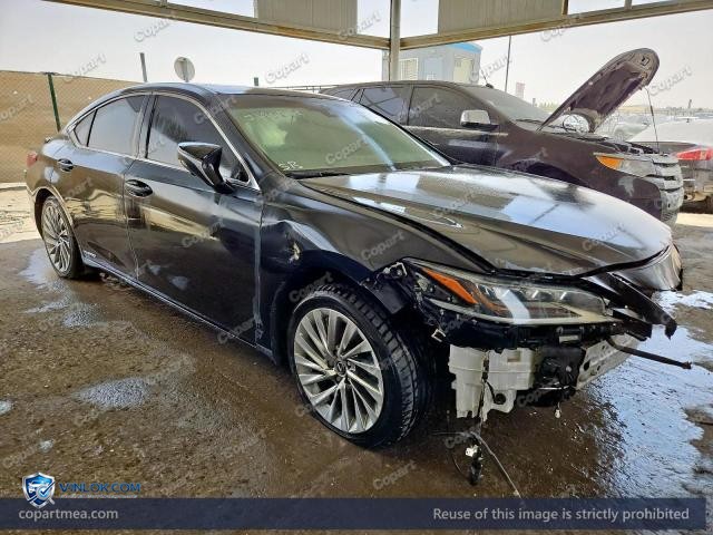 2021 LEXUS ES – Lot 53858126 auction photo