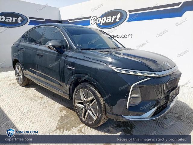 2024 MG WHALE – Lot 53869806 auction photo
