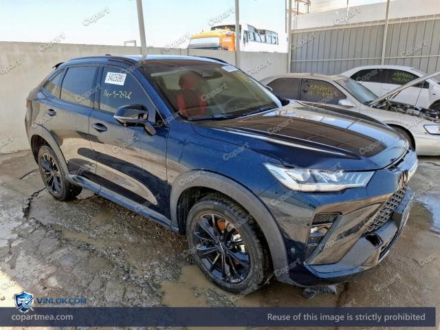 2024 HAVA H6 – Lot 54025096 auction photo