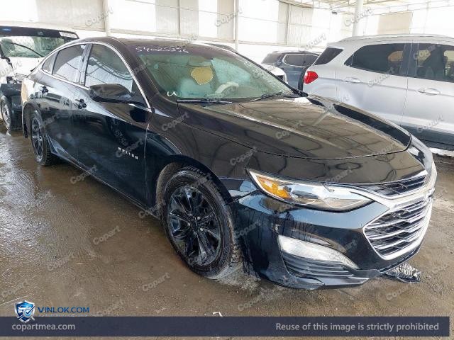 2019 CHEVROLET MALIBU – Lot 54025356 auction photo