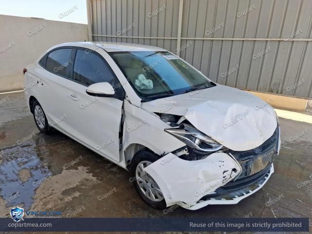 2023 CHAN ALSVIN – Lot 54354386 auction photo
