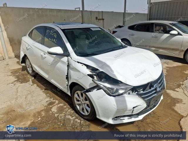 2023 CHAN ALSVIN – Lot 54564566 auction photo