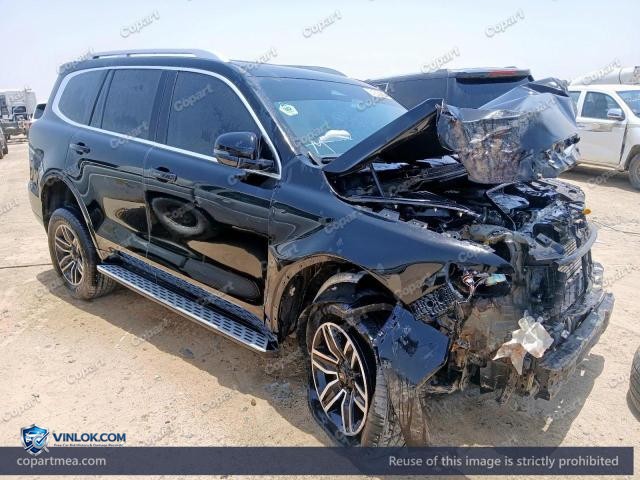 2025 GREA TANK 300 – Lot 54575336 auction photo