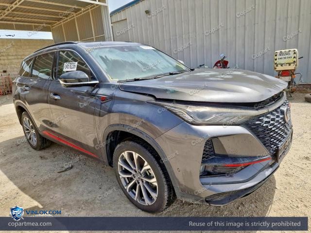 2023 CHAN CS75 – Lot 54578236 auction photo