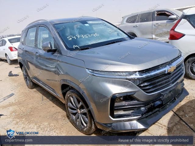 2025 CHEVROLET CAPTIVA – Lot 54735096 auction photo