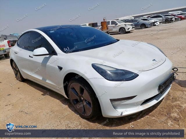 2023 TESL MODEL – Lot 54739676 auction photo