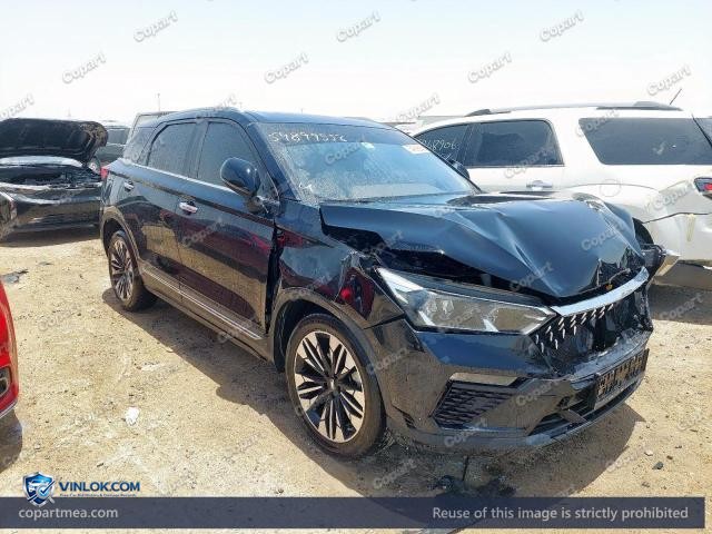 2024 BEST T – Lot 54899556 auction photo