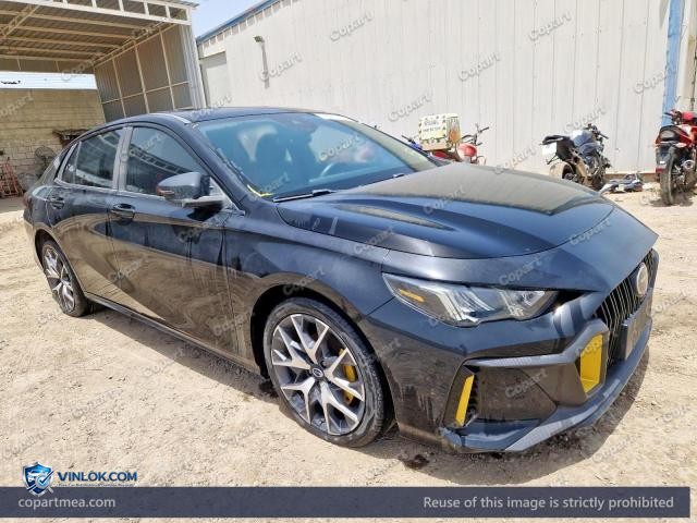 2024 GAC EMPOW – Lot 55253576 auction photo