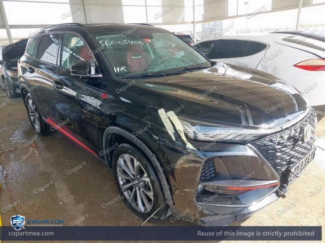 2022 CHAN CS 75 PLUS – Lot 56005406 auction photo