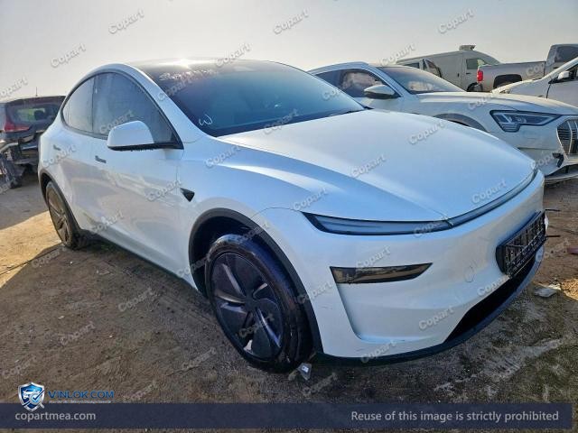 2026 TESL MODEL – Lot 56017446 auction photo