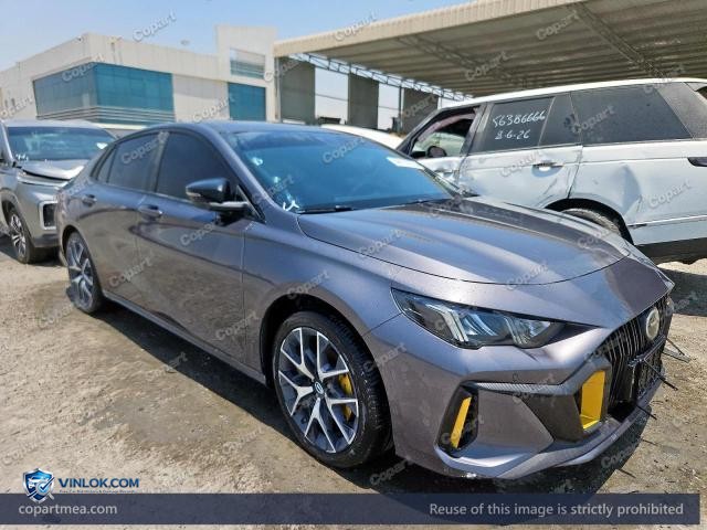 2026 GAC EMPOW – Lot 56197276 auction photo