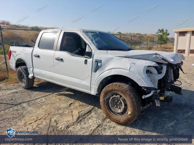 2023 FORD F150 – Lot 56218996 auction photo