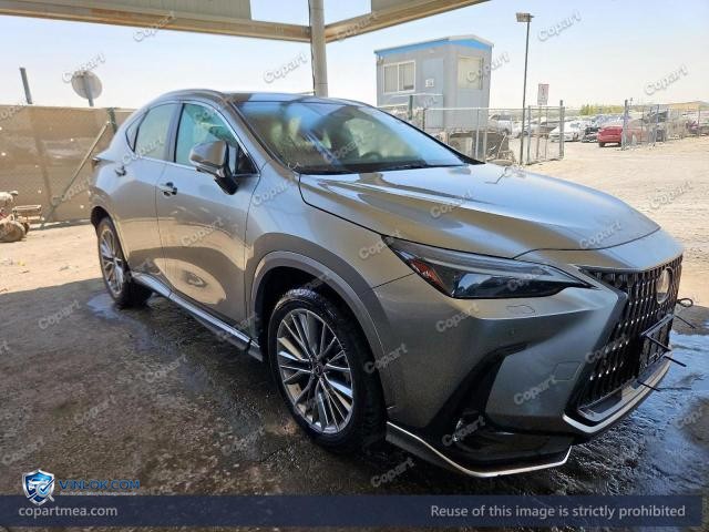 2025 LEXUS NX – Lot 56723566 auction photo
