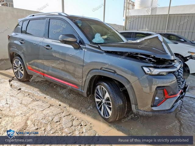 2023 CHAN CS35 – Lot 57092626 auction photo