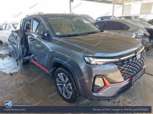 2025 CHAN CS35 – Lot 57092856 auction photo