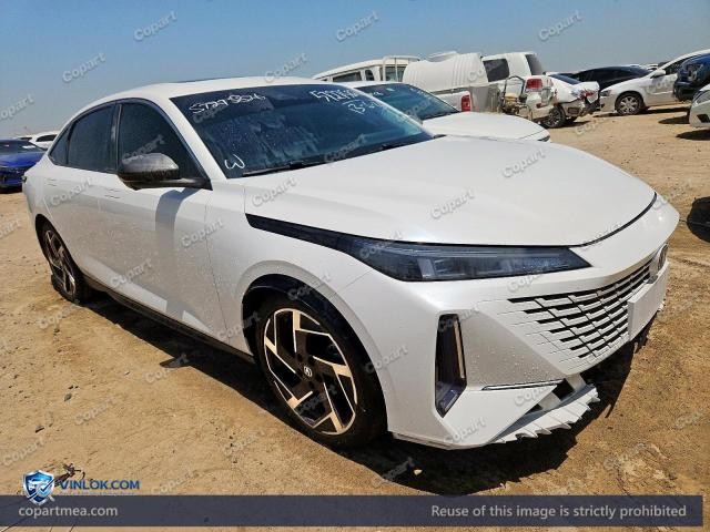 2024 CHAN EADO – Lot 57275826 auction photo