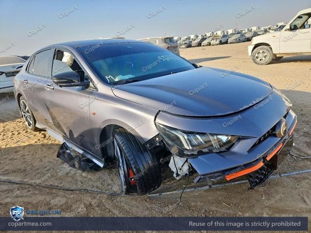 2026 GAC EMPOW – Lot 57278666 auction photo