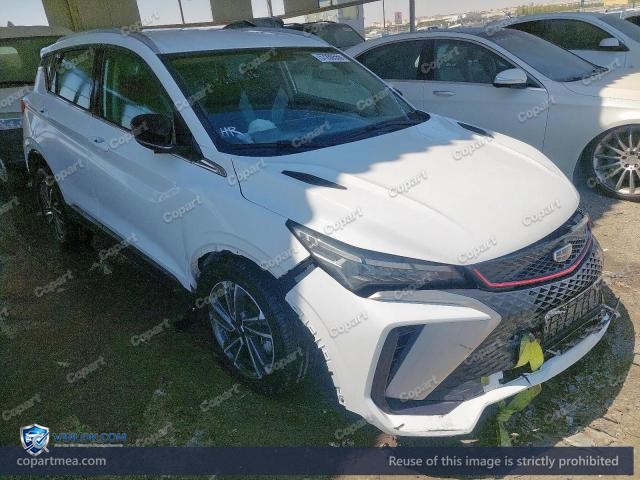 2025 GEEL COOLRAY – Lot 57280556 auction photo