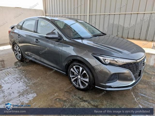2023 CHAN EADO – Lot 57786606 auction photo