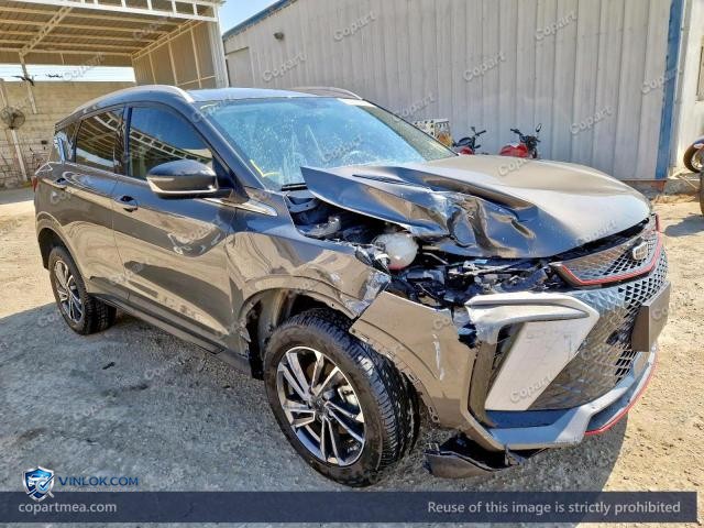 2025 GEEA COOLRAY – Lot 57978566 auction photo