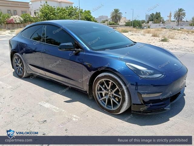 2023 TESL MODEL – Lot 58008866 auction photo