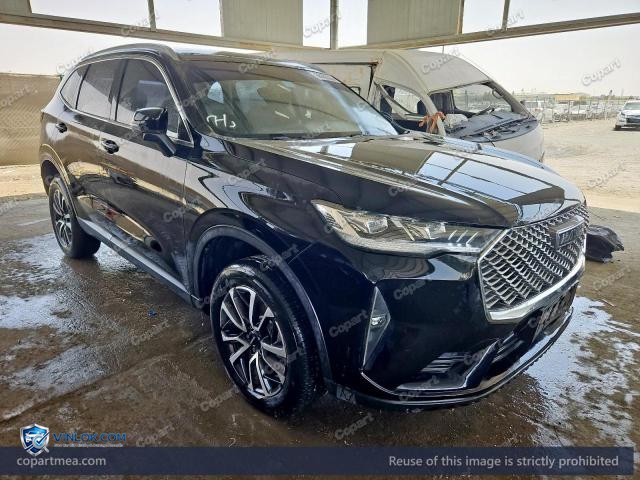 2023 HAVA H6 – Lot 58162366 auction photo