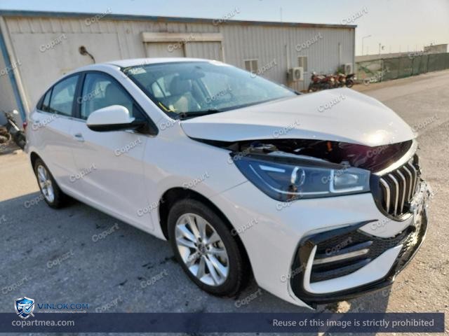 2024 CHER ARRIZO – Lot 58163146 auction photo