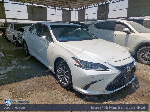 2023 LEXUS ES – Lot 58347236 auction photo