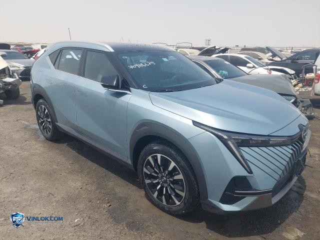 2025 GAC EMKOO – Lot 70966685 auction photo