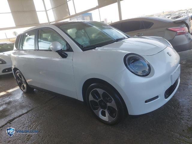 2025 JAC E30X – Lot 72708285 auction photo