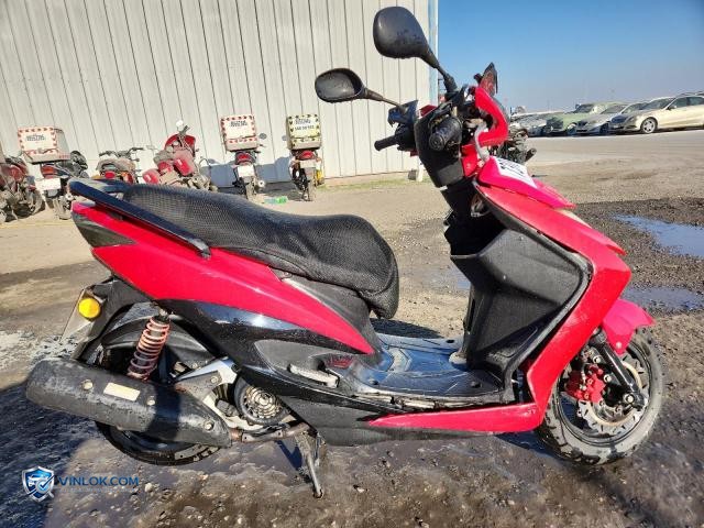 2020 LINT 125 – Lot 73099925 auction photo
