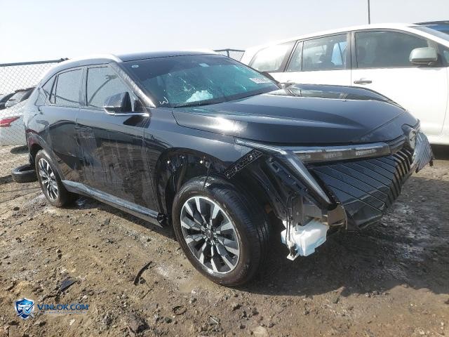 2025 GAC EMKOO – Lot 73129085 auction photo