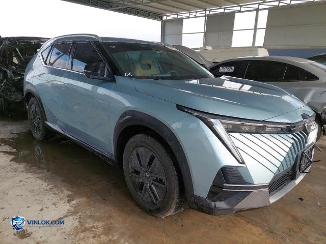 2025 GAC EMKOO – Lot 73129905 auction photo