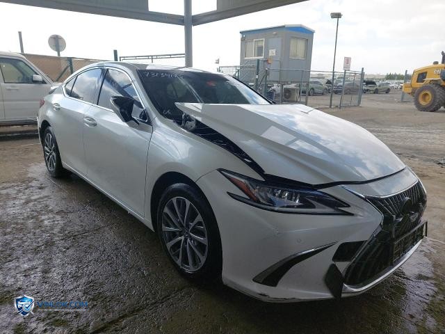 2023 LEXUS ES300H – Lot 73134175 auction photo
