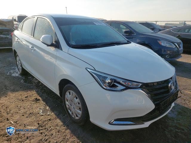 2024 CHAN ALSVIN – Lot 73134355 auction photo