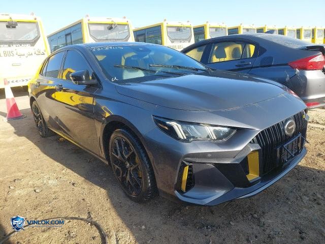 2023 GAC EMPOW – Lot 73139115 auction photo
