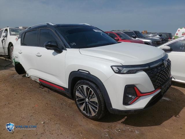 2025 CHAN CS35 – Lot 73563665 auction photo