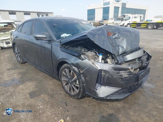 2024 CHAN EADO – Lot 73577605 auction photo